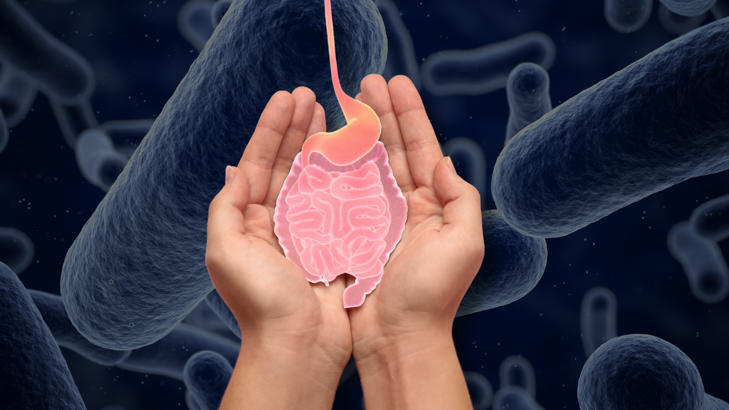 How To Maintain Good Gut Health By Balancing Your Gut Microbiome