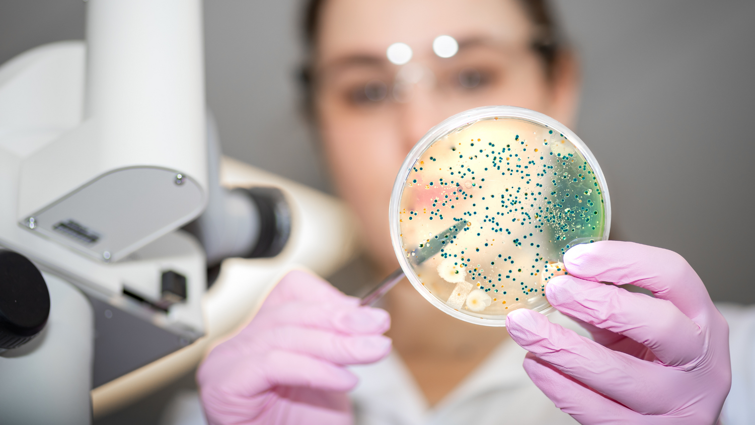 Understanding Gut Microbiome Tests: A Comprehensive Guide