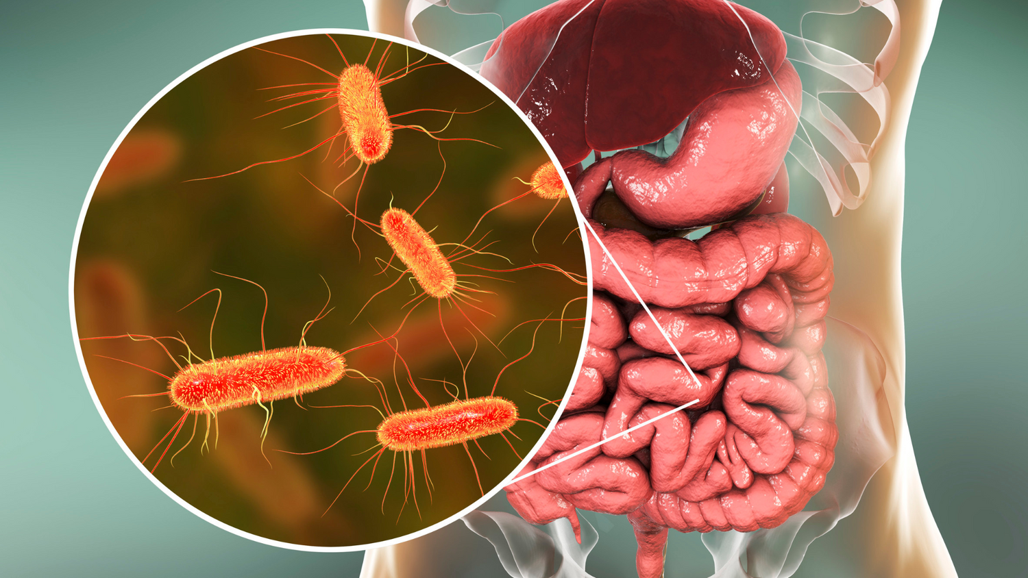 What Is Gut Microbiome Testing and How Can It Improve Digestive Health?