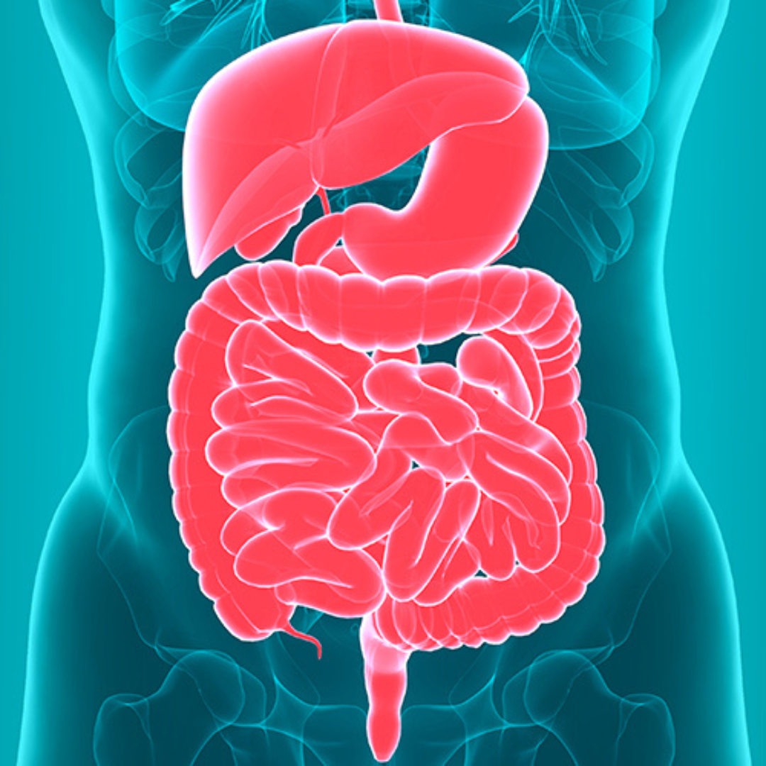 Debunking Common Myths About Gut Health