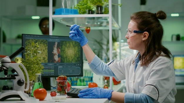 scientist chemist checking strawberry