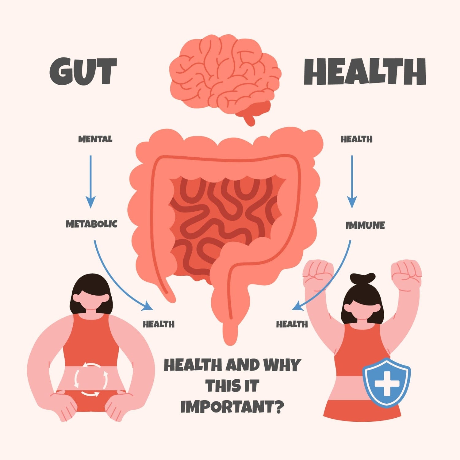 gut health