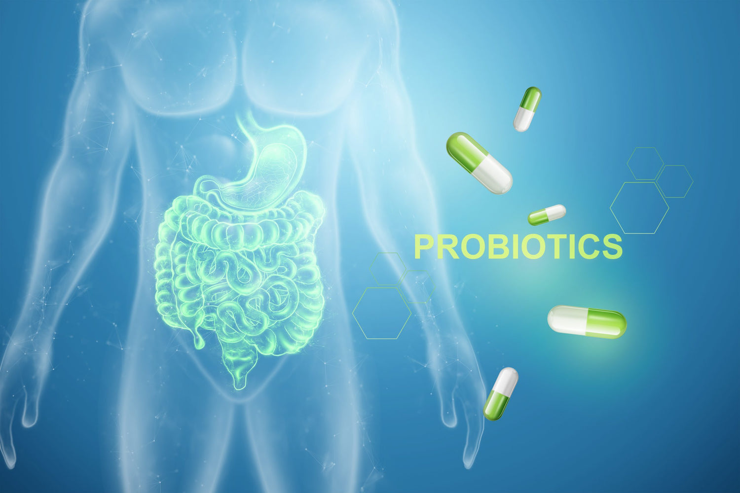 Advantages of Probiotics: How They Benefit Your Overall Health