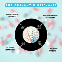 Antibiotics Resistance Test