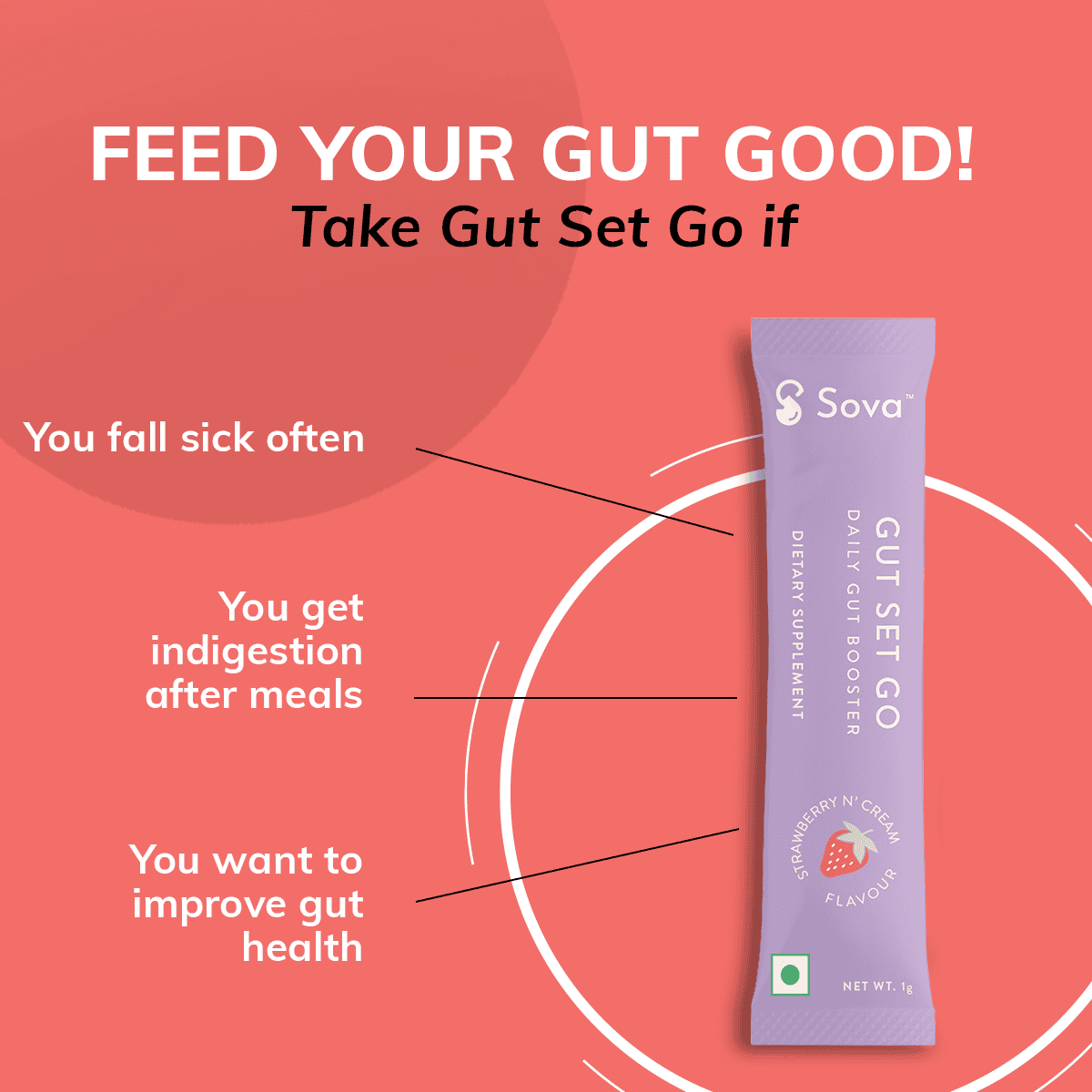 Gut Set Go | Boost Your Gut Health Daily With Best Probiotics supplement