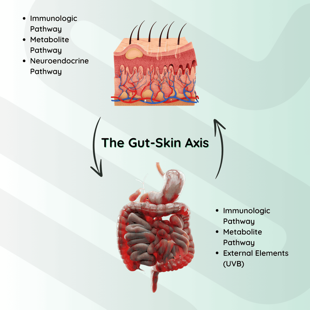 Gut Microbiome Test for Acne | Fix Acne & Skin Related Concerns