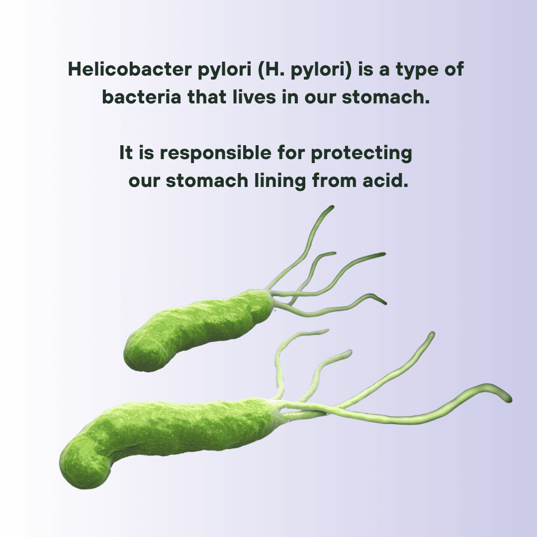 Helicobacter Pylori (H. Pylori) Infection Test