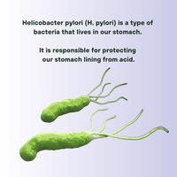 Helicobacter Pylori (H. Pylori) Infection Test